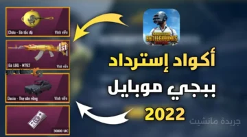 الآن لكل اللاعبين.. أحدث أكواد شحن شدات ببجي 2025 احصل عليها فورًا عبر الـID 1